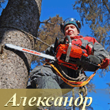 лесорубы, дровосеки, арбористика, удаление деревьев, спилить дерево, альпинисты, drowosek.ru , железный дровосек