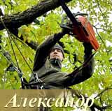 лесорубы, дровосеки, арбористика, удаление деревьев, спилить дерево, альпинисты, drowosek.ru , железный дровосек